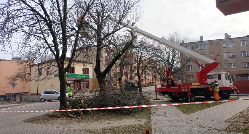 fot. Rada Dzielnicy Szopena-Wielka Skotnica