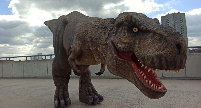 fot. CiTyREX