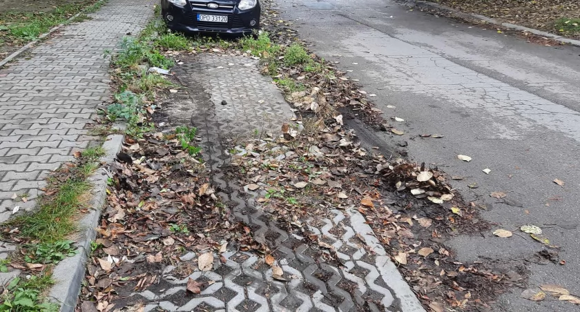 Fot. Straż Miejska Mysłowice