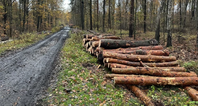 fot. redakcja, uczestnicy