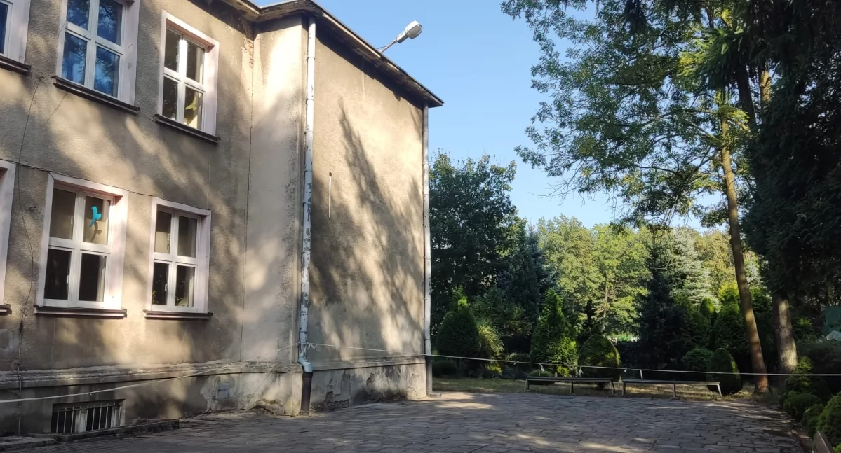 NEWS, Grzyb usunięty Interwencja Sanepidzie okazała skuteczna - zdjęcie, fotografia
