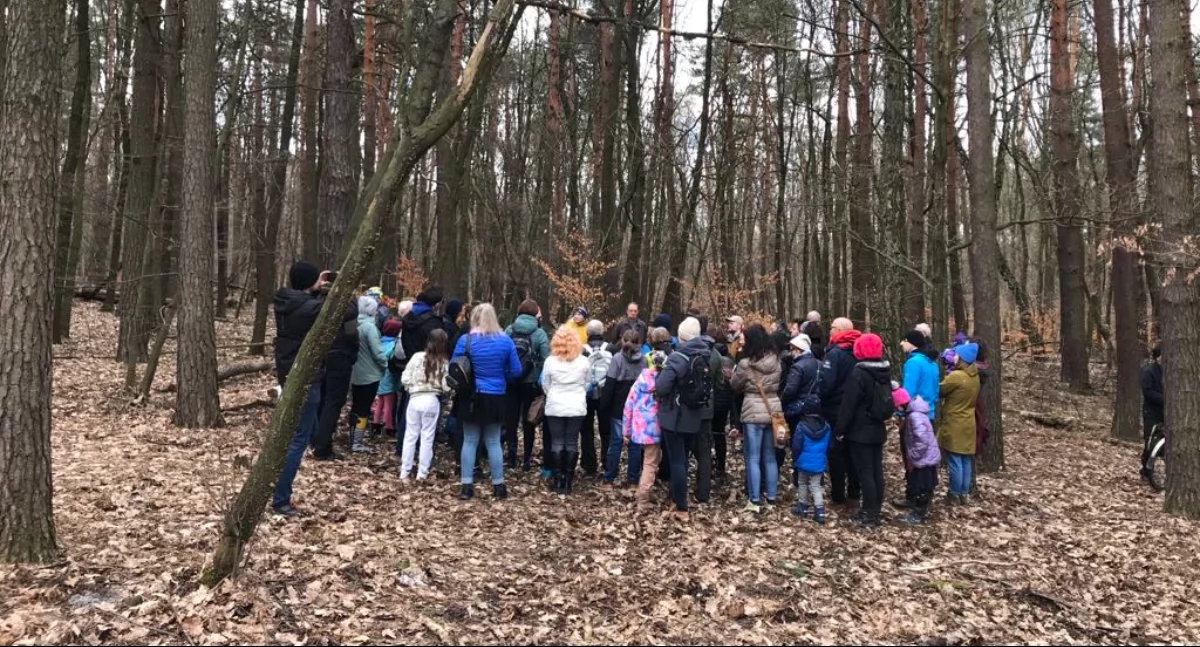 fot. z okolic Słupnej