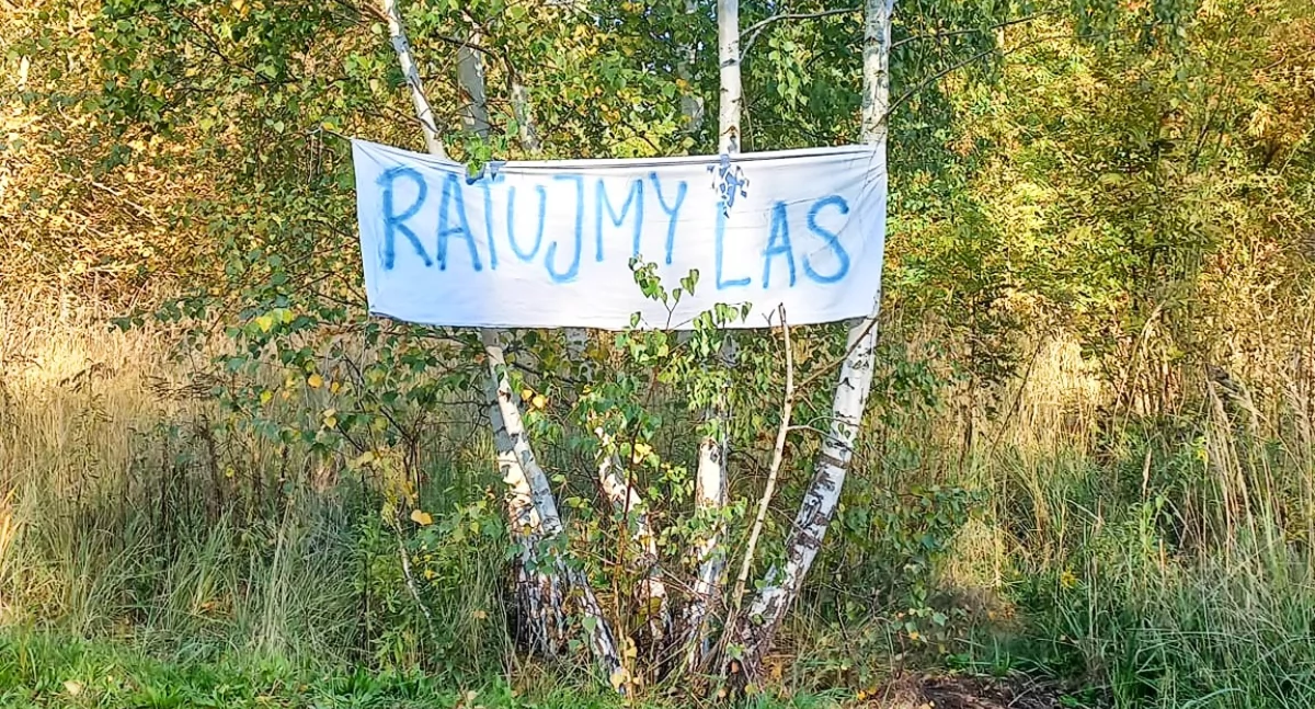 Fot. Facebook/Ratujmy brzęczkowicki las