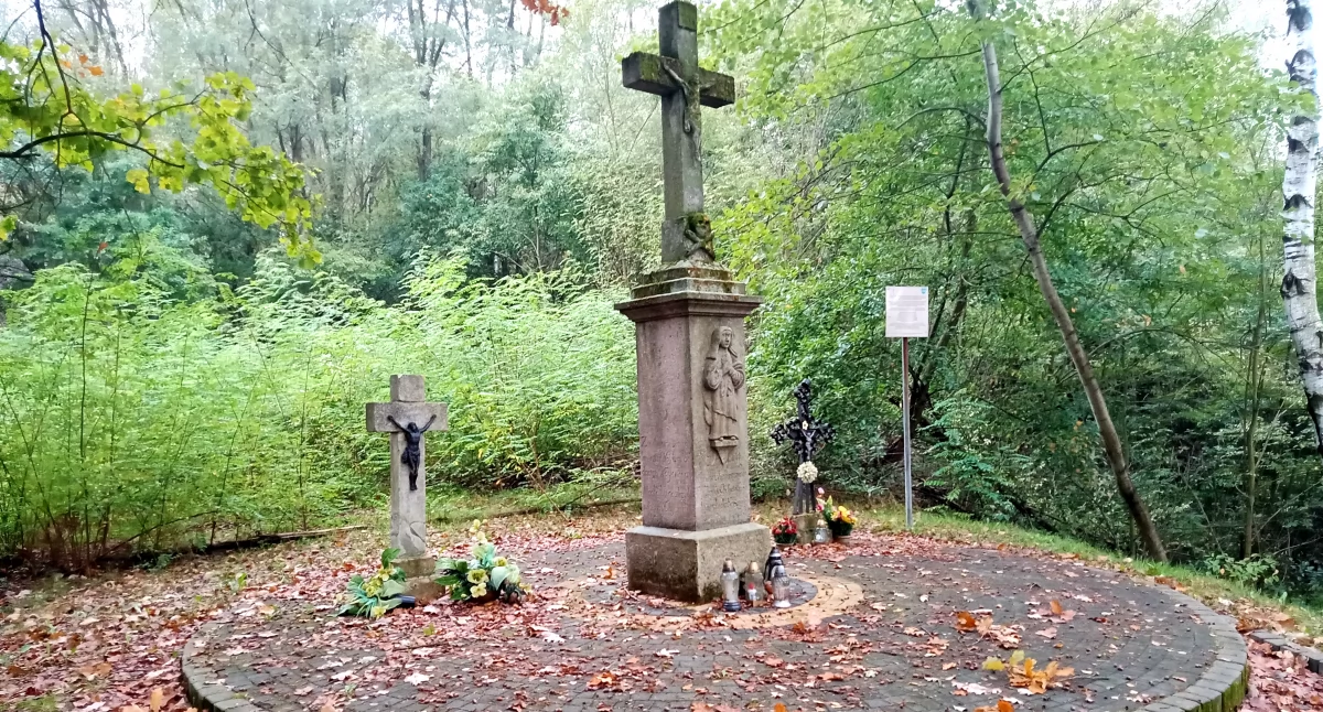 Historia, Odnowią chełmskie zabytki - zdjęcie, fotografia