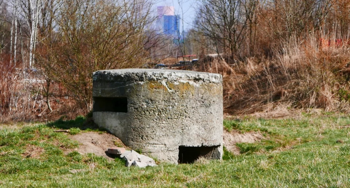 NEWS, Bunkry Brzęczkowicach zasługują ochronę - zdjęcie, fotografia