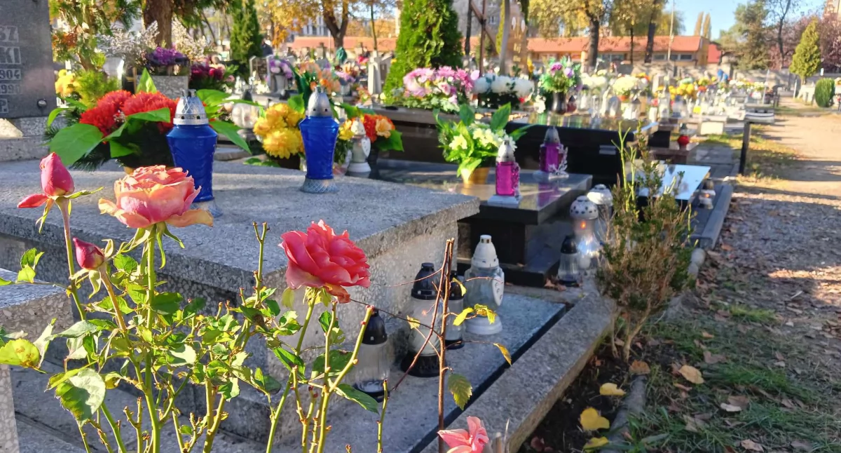 NEWS, listopada cmentarz Mikołowskiej - zdjęcie, fotografia