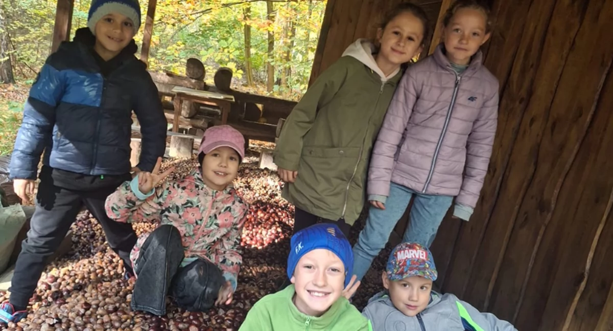 EDUKACJA, Zebrali żołędzie i kasztany zwierząt - zdjęcie, fotografia