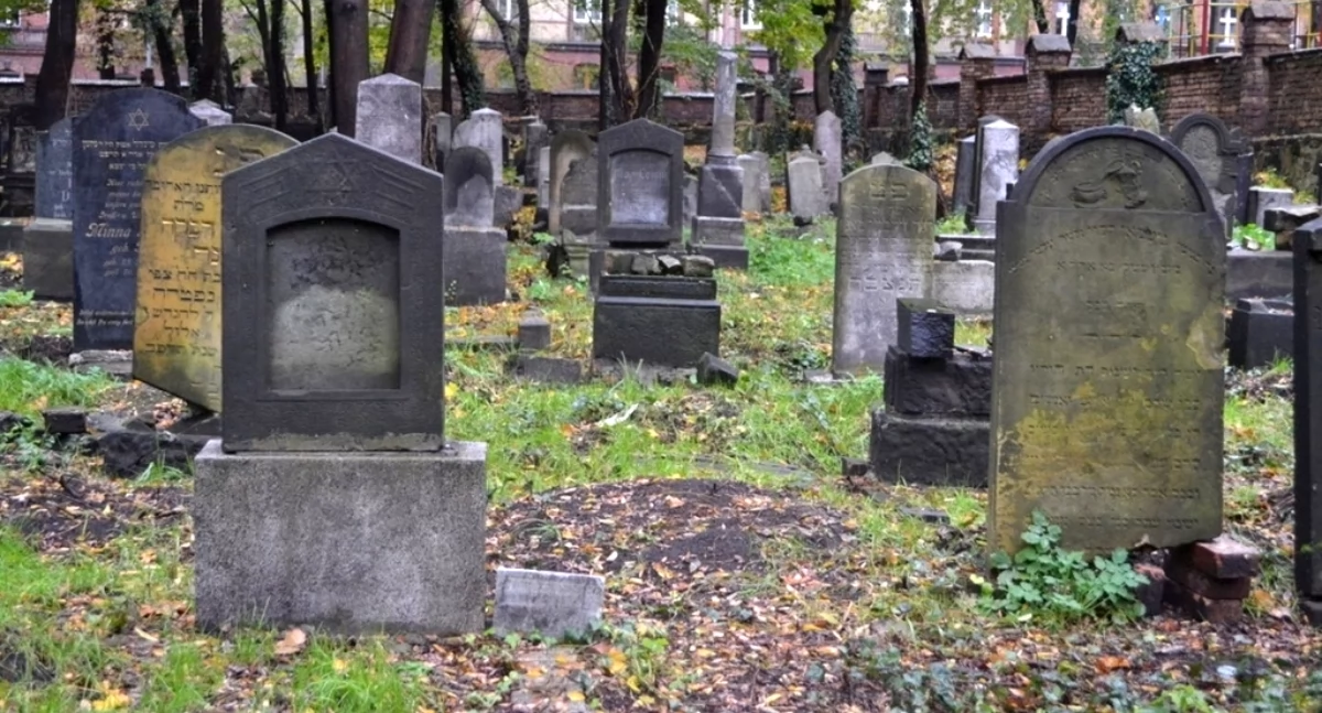 NEWS, Chcą ochronić cmentarz żydowski przez kolejnymi dewastacjami - zdjęcie, fotografia