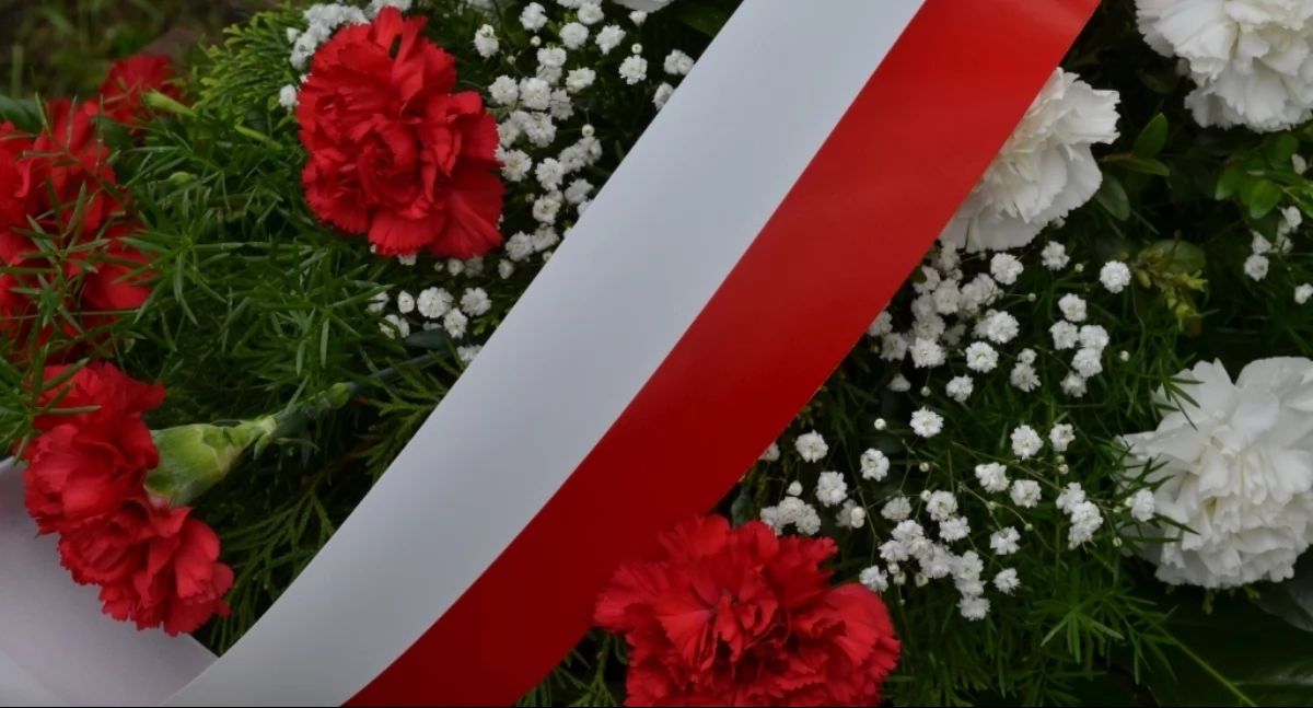 NEWS, Miejskie obchody Narodowego Święta Niepodległości listopada - zdjęcie, fotografia