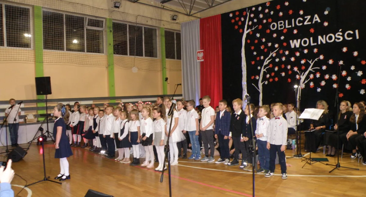 EDUKACJA, Wieczornica listopadowa - zdjęcie, fotografia