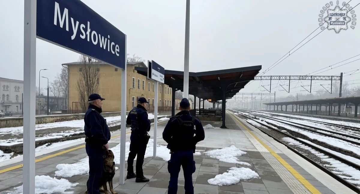 Kronika kryminalna, Wspólne działania policji Straży Ochrony Kolei - zdjęcie, fotografia