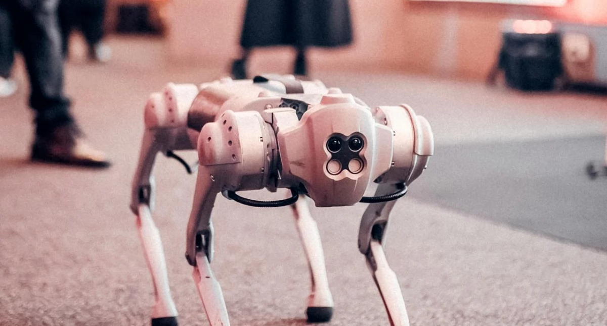 Informator gospodarczo reklamowy, Amerykański robot wiemy - zdjęcie, fotografia