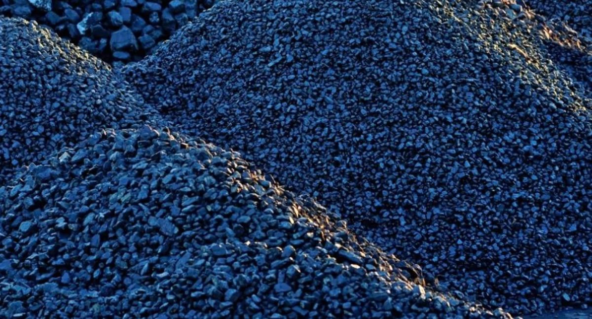 NEWS, Przeciwnicy Kopalni Brzezinka zwyciężyli - zdjęcie, fotografia