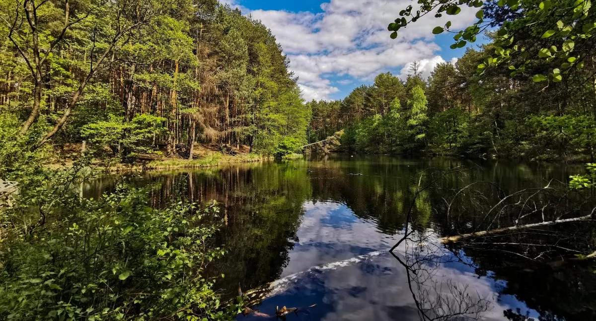 ECO, Ekolodzy zapraszają spacer Doliny Żabnika - zdjęcie, fotografia
