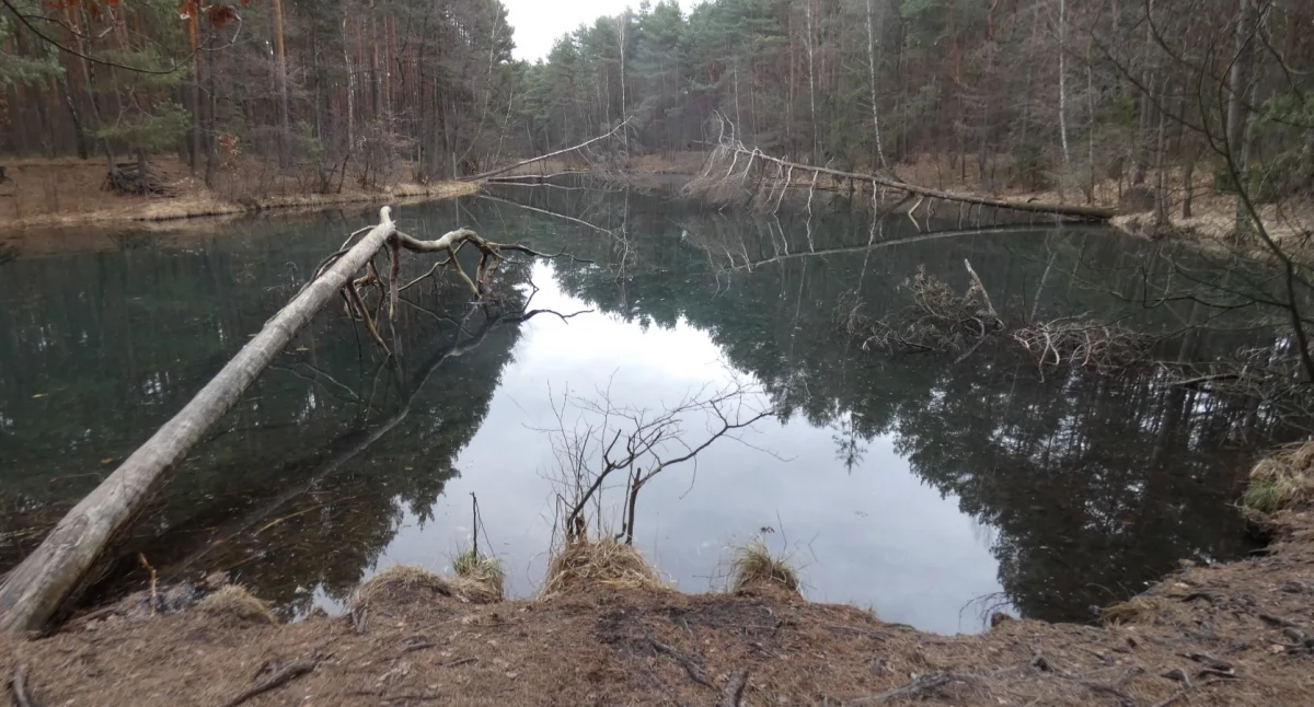 ECO, Dyskretny Żabnika - zdjęcie, fotografia