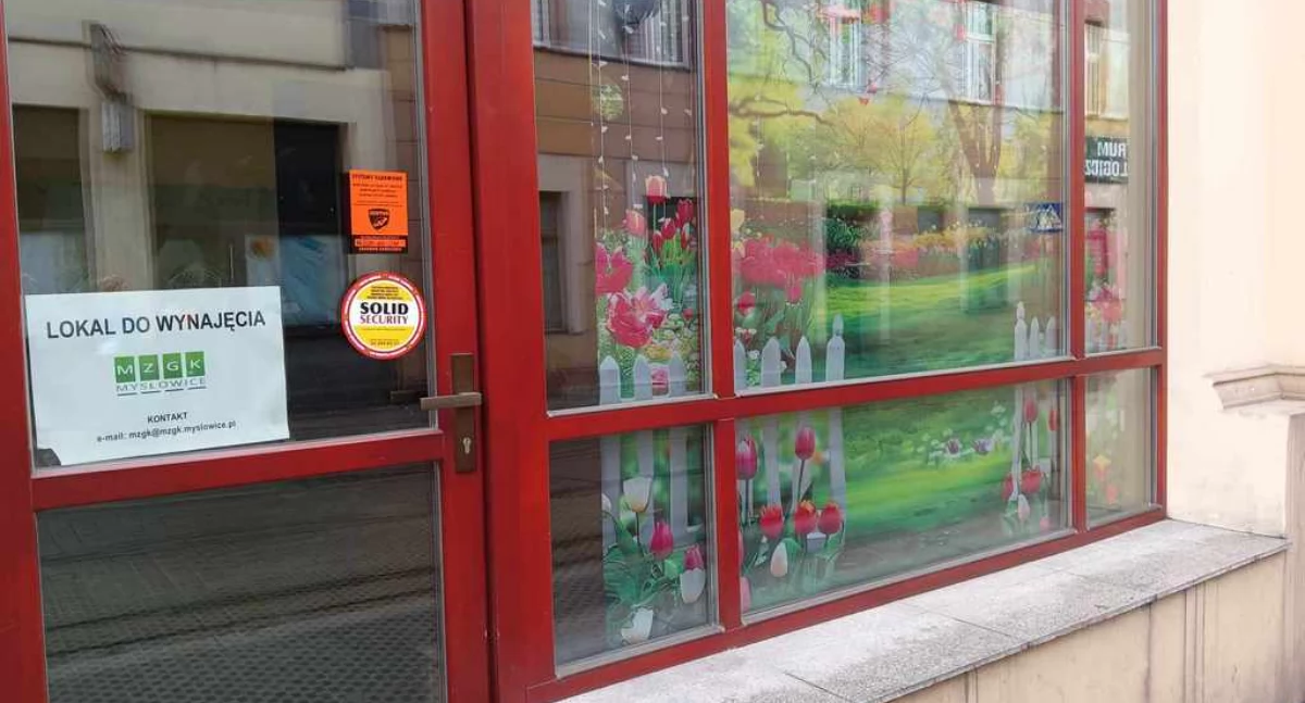 NEWS, Rozwiń swój biznes Mysłowicach - zdjęcie, fotografia
