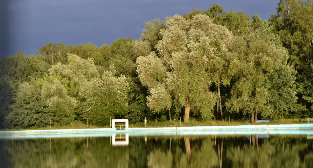 ECO, Zielone Mysłowice Pulsują Energią! Koncert orientacje ekologiczny piknik Parku Słupna - zdjęcie, fotografia
