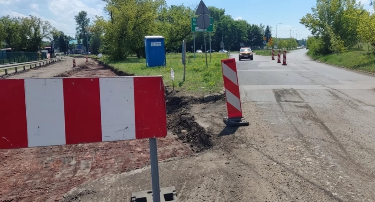 NEWS, Mysłowic liście - zdjęcie, fotografia