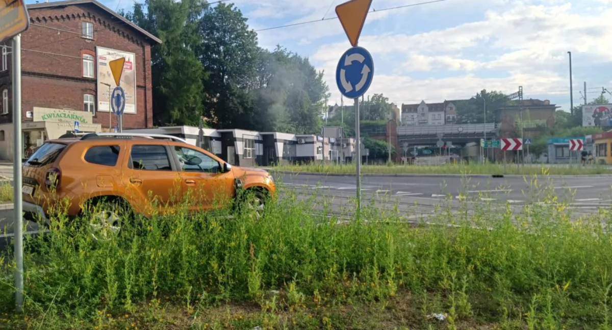 NEWS, Rondo Solidarności chwastów - zdjęcie, fotografia