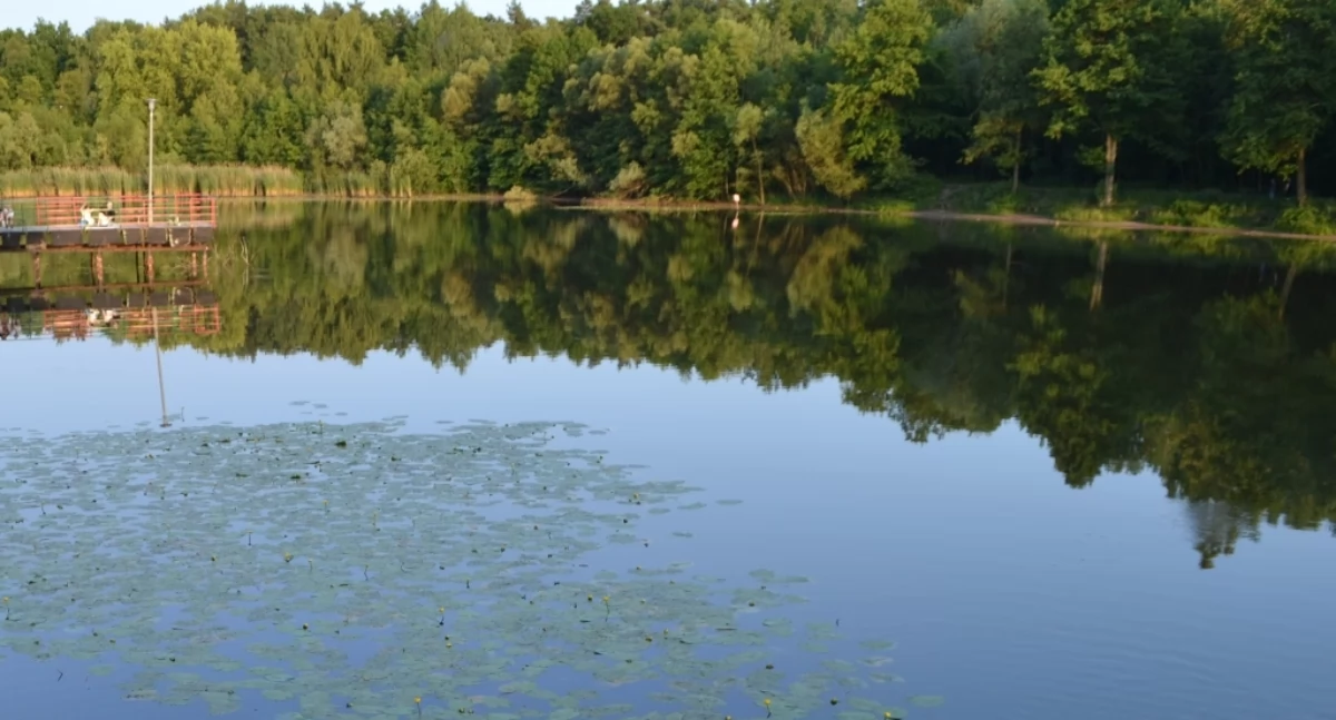 ECO, Trwają konsultacje społeczne pierwszego Polsce Regionalnego Planu Adaptacji zmian klimatu Województwa Śląskiego - zdjęcie, fotografia