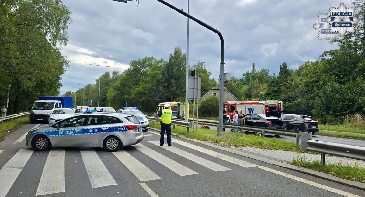 fot. Śląska Policja