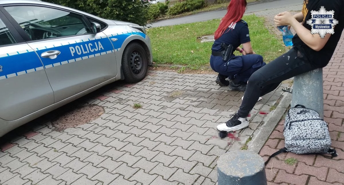 fot. Śląska Policja