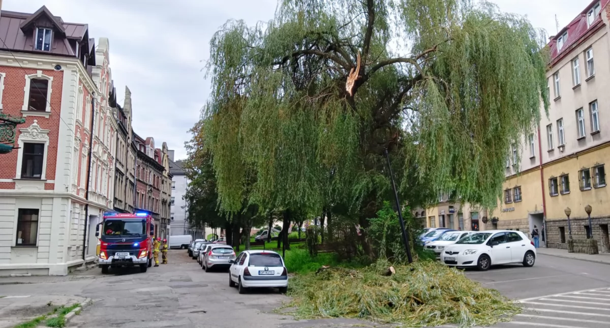 Na Placu Mieroszewskich konar uszkodził samochody i latarnię