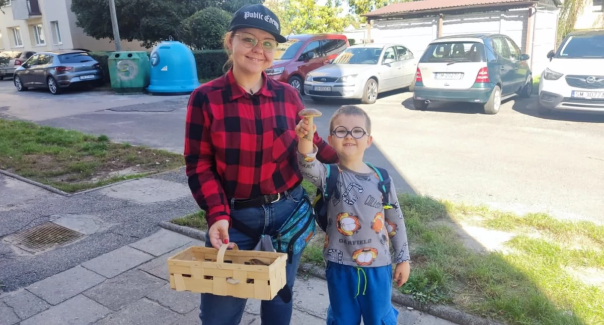 NEWS, Udane zbiory Mysłowicach Jesień grzybiarzy - zdjęcie, fotografia