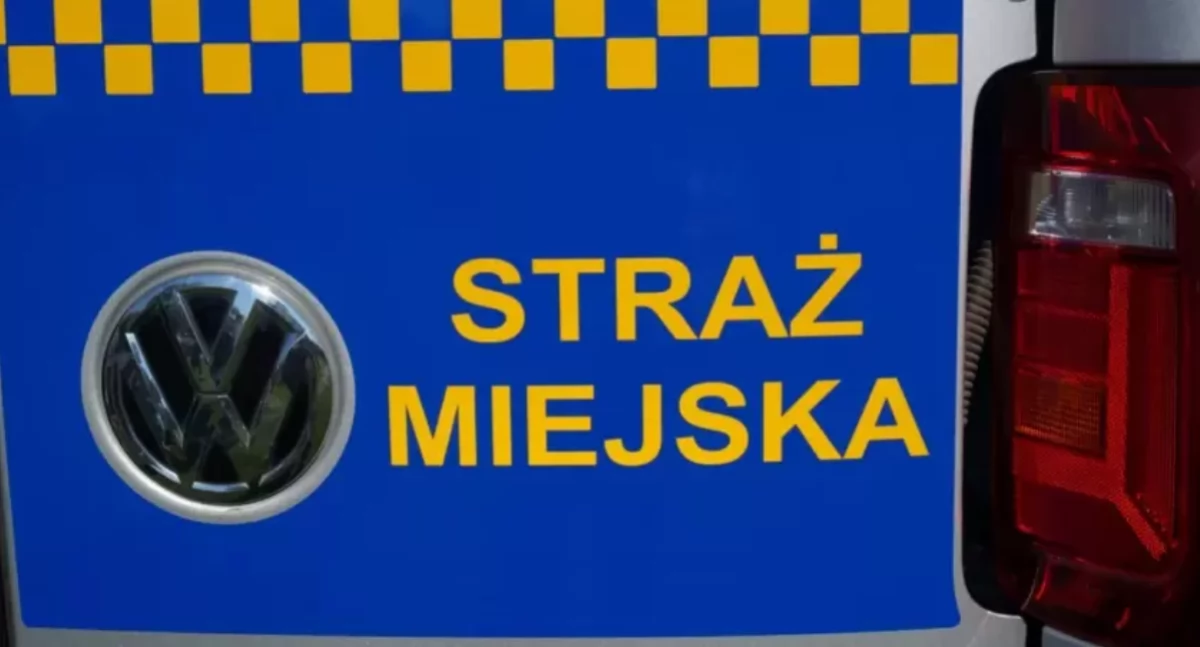 NEWS, Straż Miejska Mysłowice poszukuje pracownika - zdjęcie, fotografia