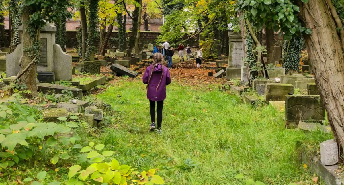 NEWS, Jesienne porządki cmentarzu żydowskim - zdjęcie, fotografia