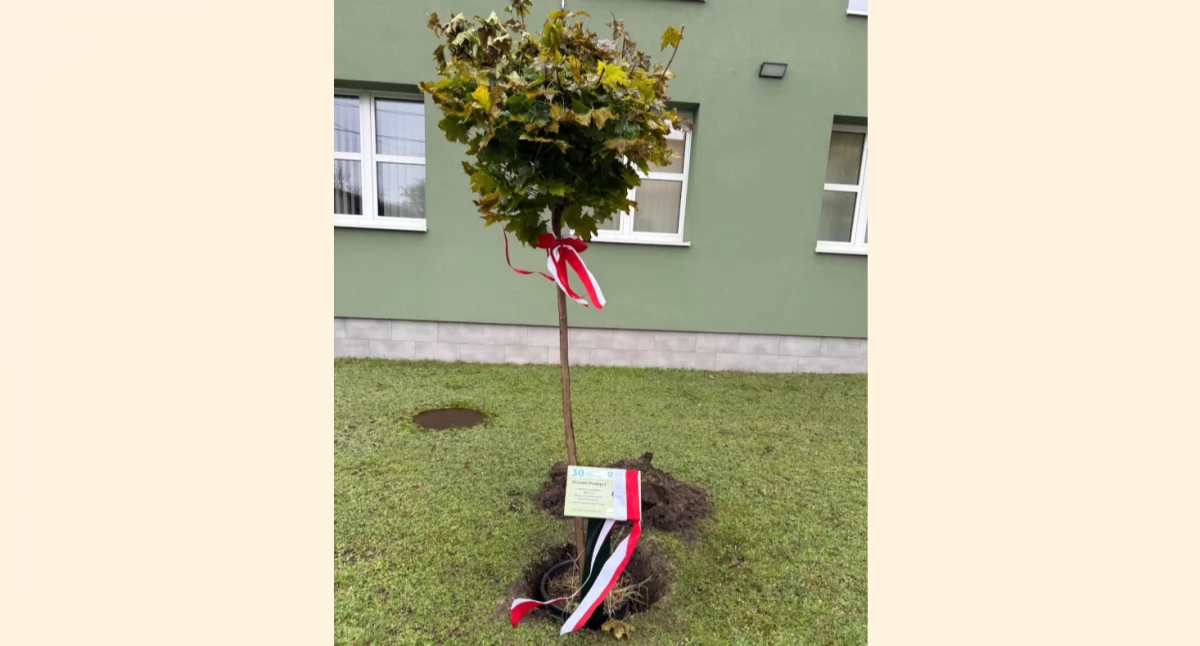 Drzewo Pamięci