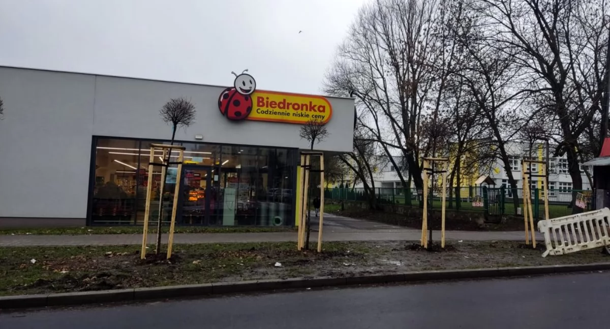 NEWS, Rozjeżdżony zieleniec Kierowcy przywykli parking - zdjęcie, fotografia