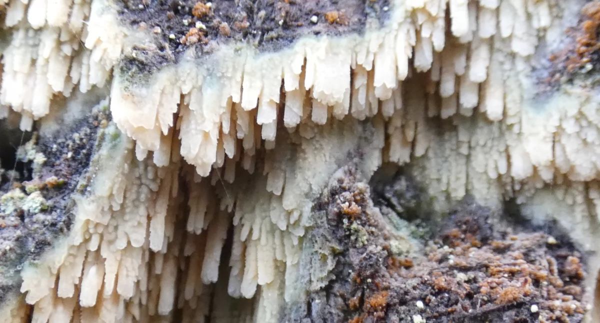 ECO, północ Błędowa - zdjęcie, fotografia