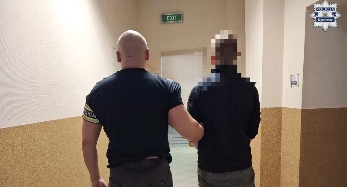 Kronika kryminalna, latek zatrzymany kradzież rozbójniczą - zdjęcie, fotografia