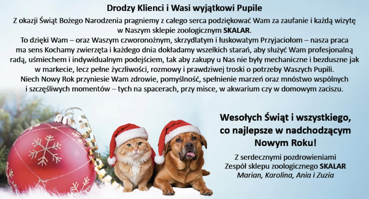 NEWS, Życzenia Boże Narodzenie Sklepu Zoologicznego Skalar - zdjęcie, fotografia