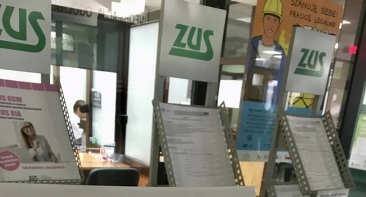 NEWS, Mały nowych zasadach - zdjęcie, fotografia