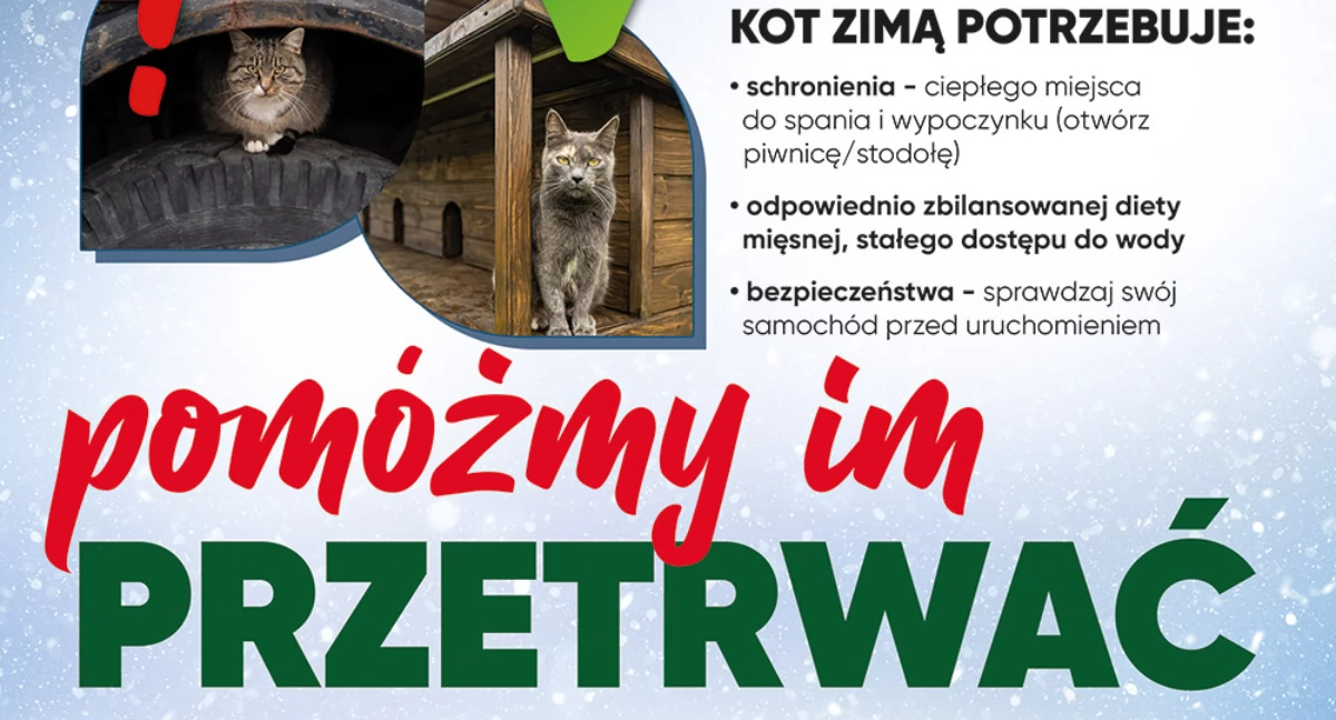 NEWS, Zimą zadbaj swojego Zapewnij swojemu zwierzęciu ciepłe schronienie - zdjęcie, fotografia