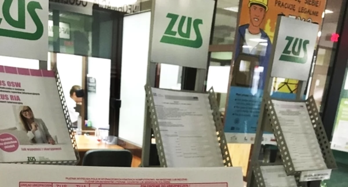 NEWS, Reset małego ostatnie zgłoszenie - zdjęcie, fotografia