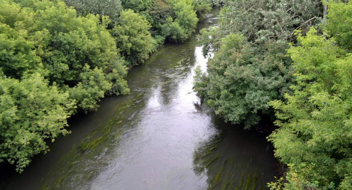 Przemsza w Mysłowicach
