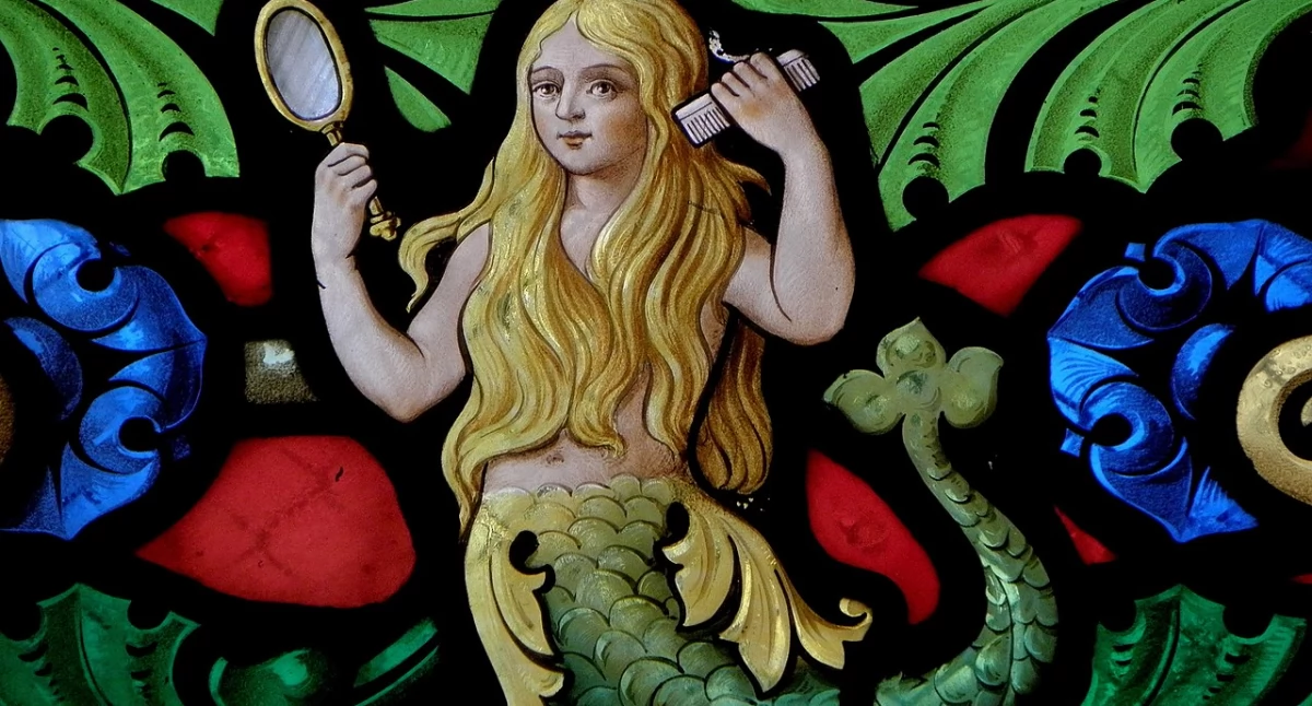 Meluzyna. Fot. Wikimedia
