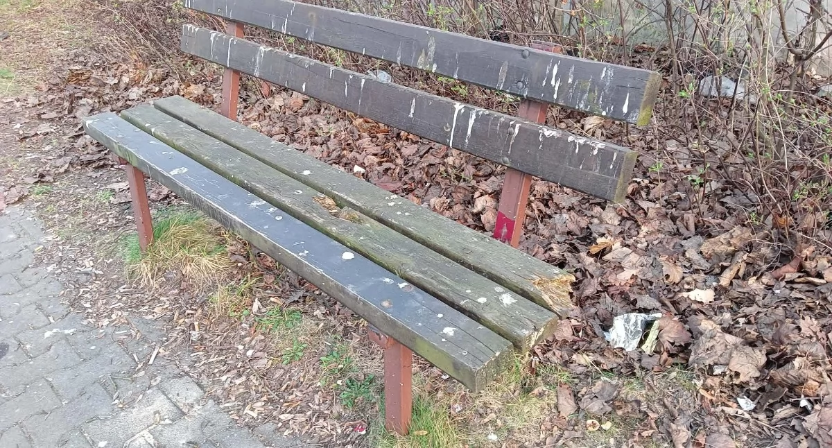 NEWS, Teraz zadbać ławki - zdjęcie, fotografia