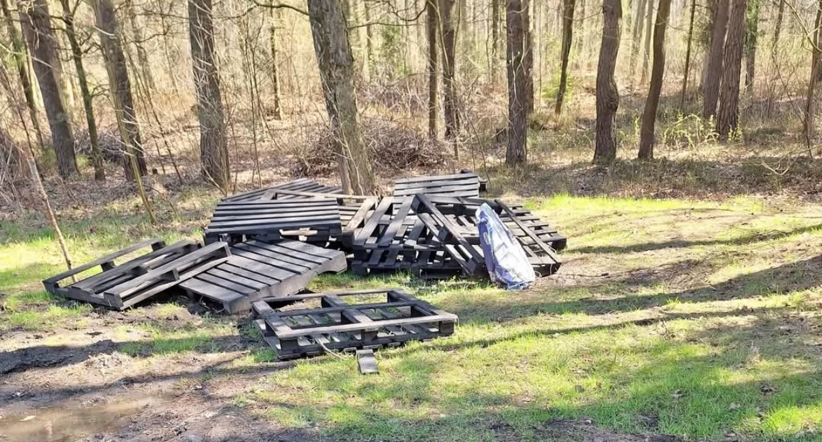 NEWS, Zamiast pierwiosnków wszędzie śmieci - zdjęcie, fotografia