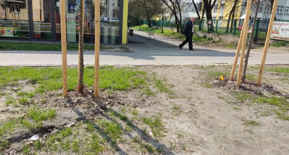 Skwerek został rozdeptany