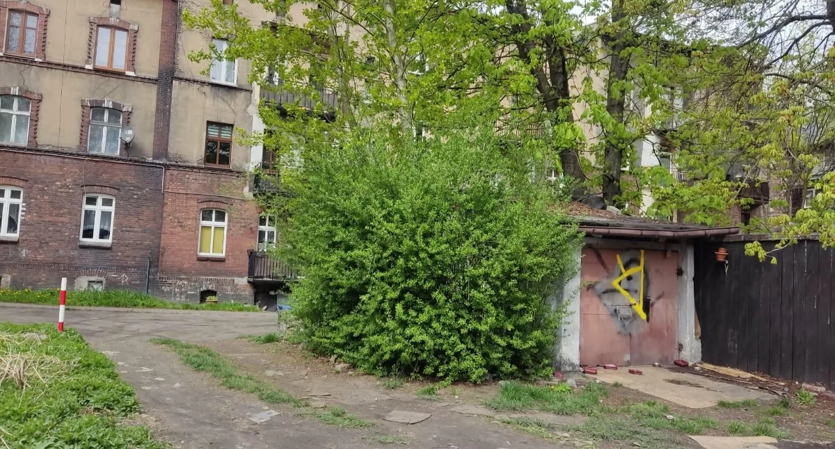 NEWS, Absurd Lompy Mysłowicach Mieszkańcy przegrali krzakami - zdjęcie, fotografia