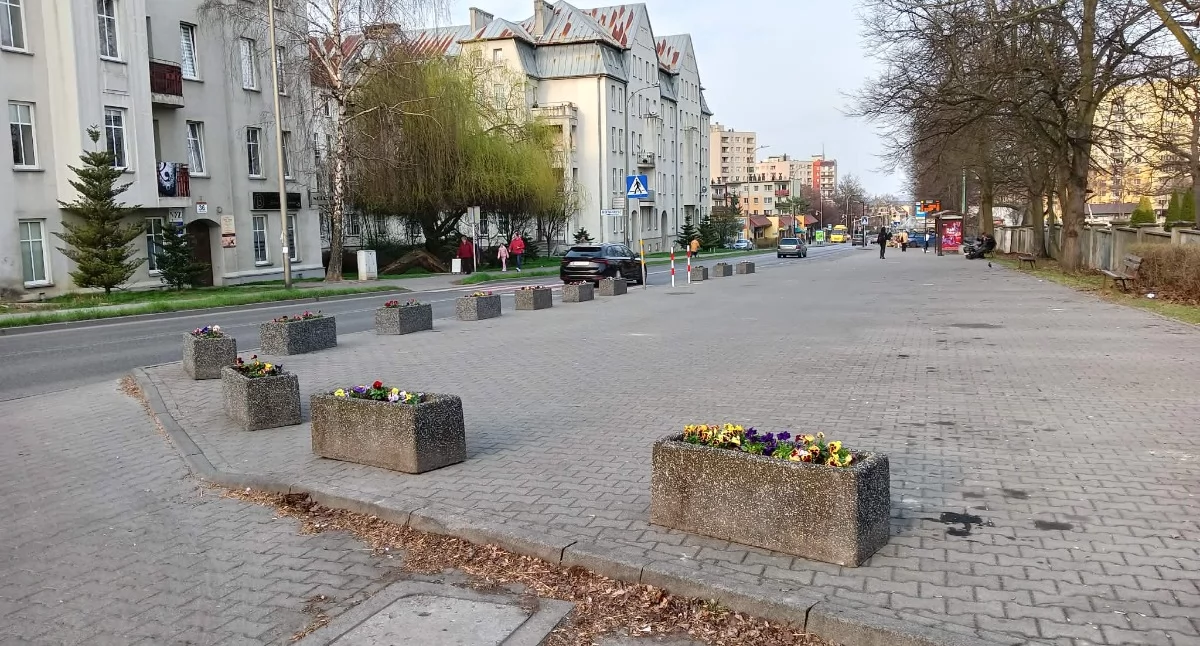 NEWS, Mieszkańcy walczą parking Mikołowskiej urzędu miasta wpłynęła petycja - zdjęcie, fotografia