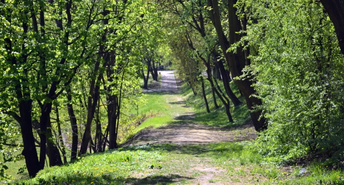 Spacer odbędzie sie w parku Promenada