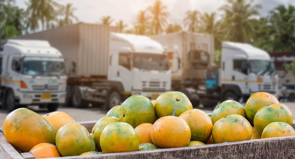 Informator gospodarczo reklamowy, Przewóz produktów sezonowych chłodni przygotować logistykę przed szczytem zamówień - zdjęcie, fotografia