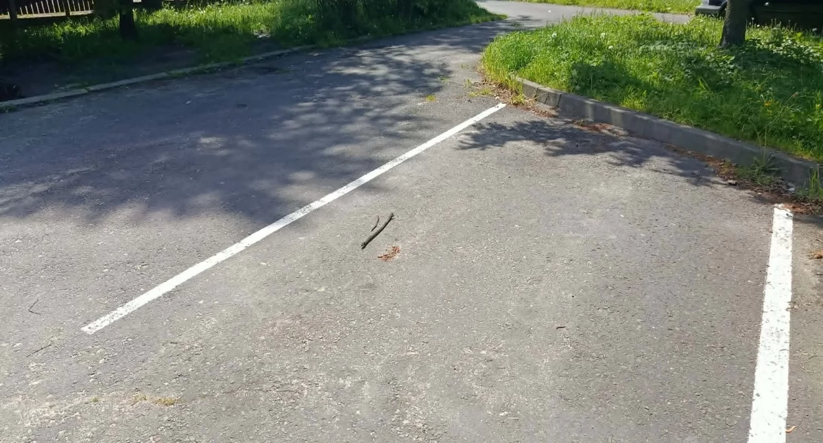 NEWS, zwiększa liczbę miejsc postojowych Powstaną także garaże - zdjęcie, fotografia