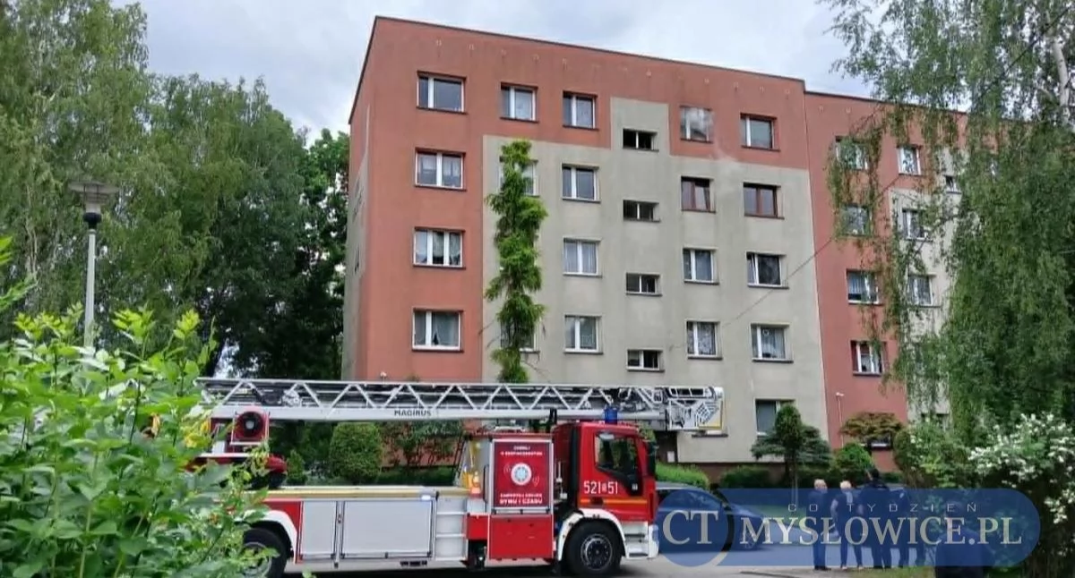 NEWS, Stracili głową ukochanego czworonoga zbiórka pożarze Mysłowicach - zdjęcie, fotografia