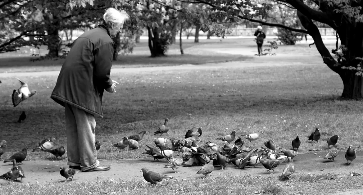 NEWS, senioralny darmowa pomoc - zdjęcie, fotografia